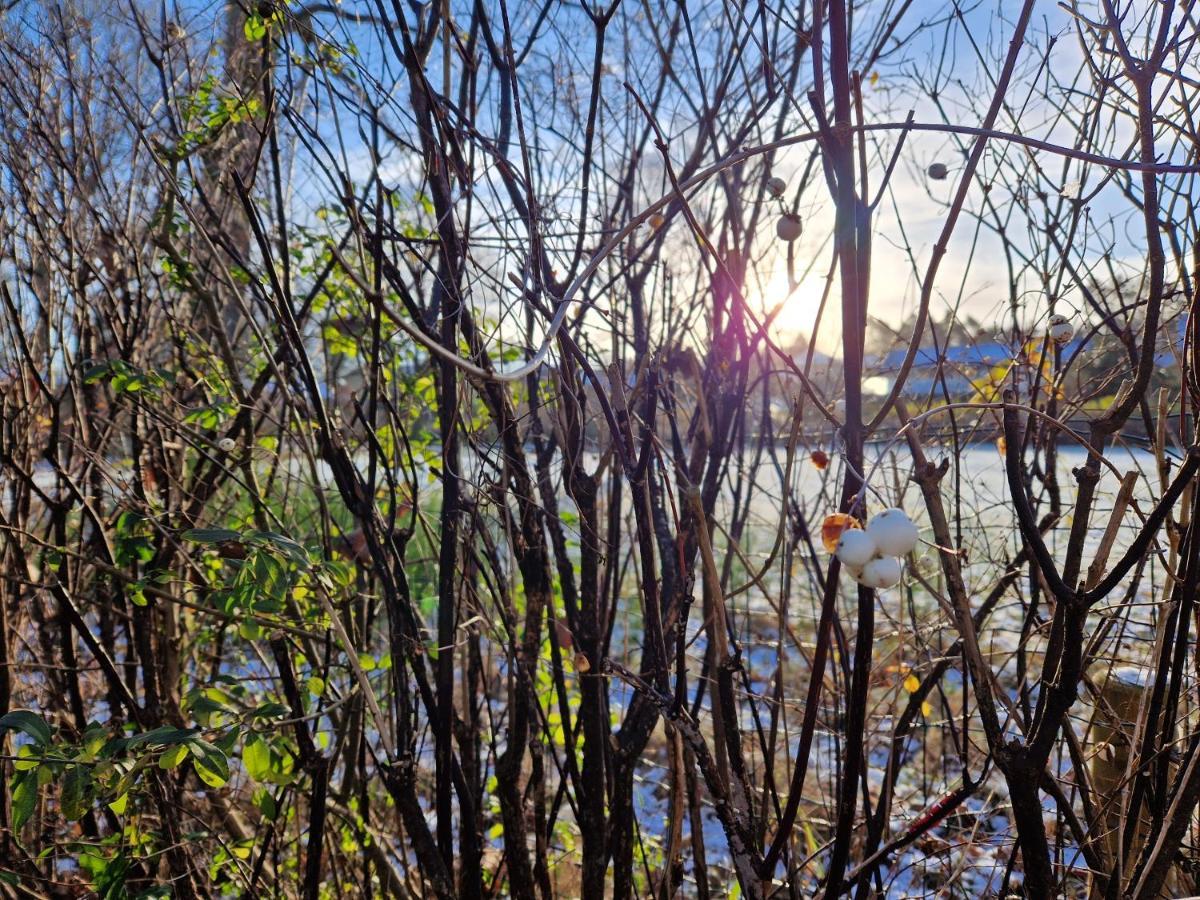 Appartamento Lille Bo Silkeborg Esterno foto